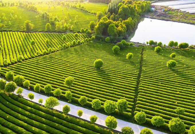 湖北省“四好農(nóng)村路”示范創(chuàng)建提質(zhì)擴面助力鄉(xiāng)村振興